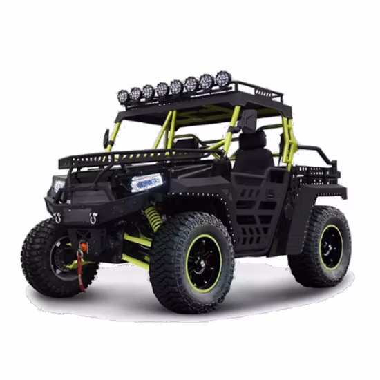 New Farm Cheap Sport 2 Seater 1000cc 4X4 Cruiser Beach Buggy Utility Vehicle UTV with EPA