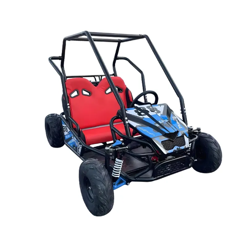 4*4 Electric Buggy and Go Kart