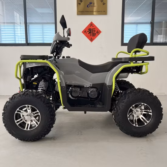 CE Certified 200cc 300cc 500cc 700ccadult Quad Bike ATV